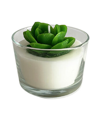 succulent candle