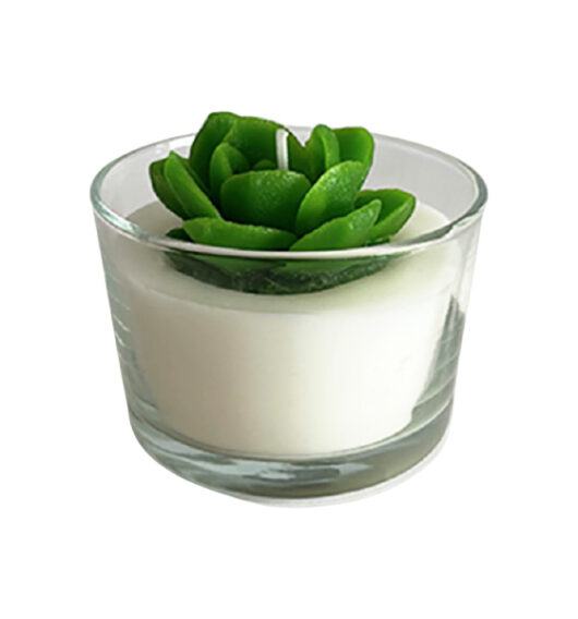 succulent candle