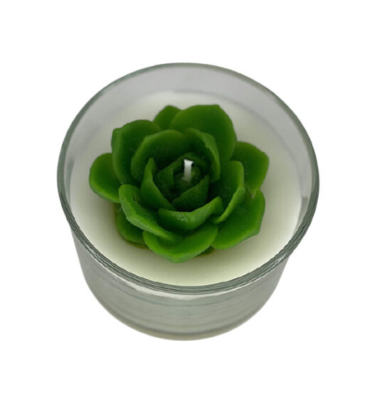 succulent candle